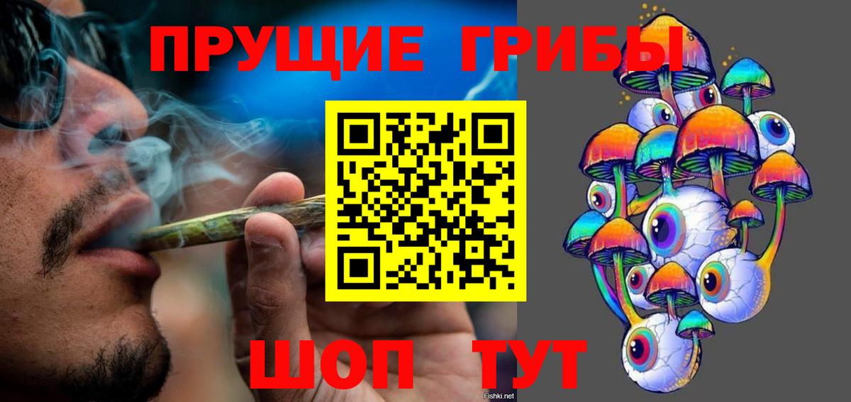 Псилоцибиновые грибы ЛСД  Вход с VPN  Псилоцибиновые грибы мицелий  Бердск 